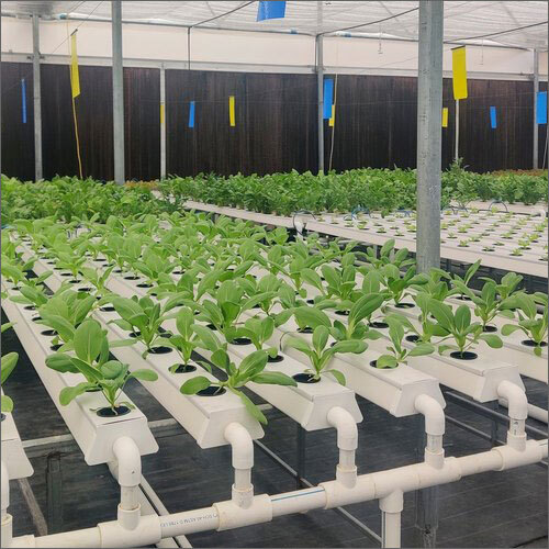 Hydroponic NFT Channel