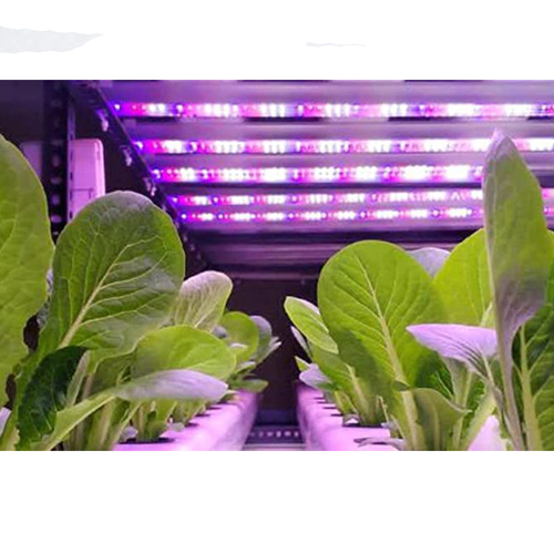 17 W Led Grow Light