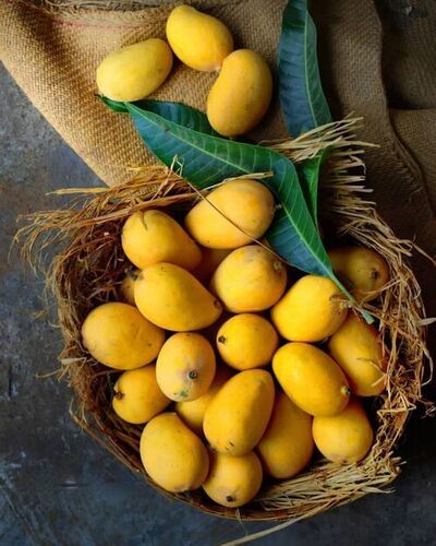 Mango Fruit