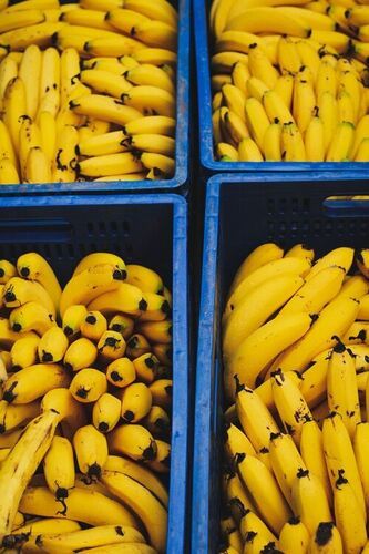 banana fruit