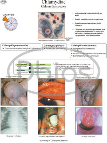 Microbiology Charts