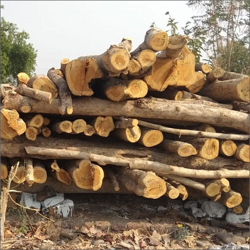 Natural Teak Wood Logs