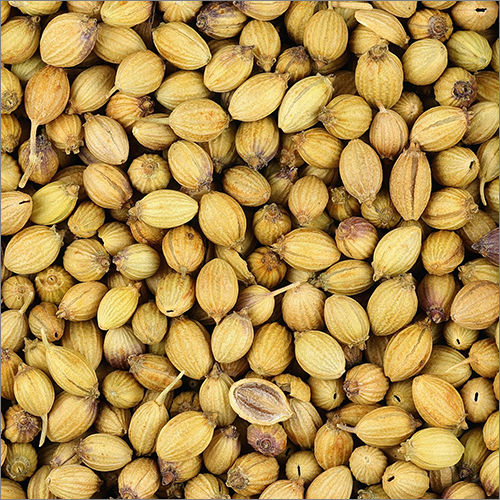 Coriander Seeds