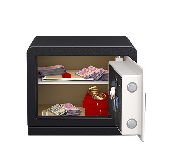 Godrej Ritz Touch with I Buzz Home Locker