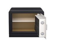 Godrej Ritz Touch with I Buzz Home Locker