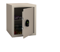 NX Pro Bio (40L) Godrej Electric Safe