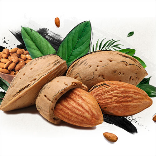 Almond Nuts