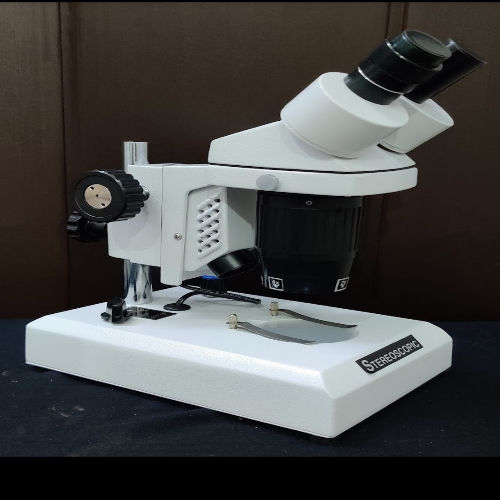 Stereo Microscopes