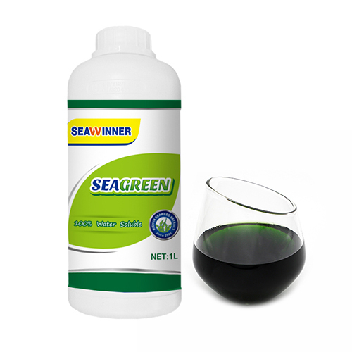 Seagreen Seaweed Liquid Fertilizer