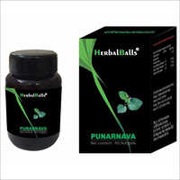 Punarnava Softgel Capsules