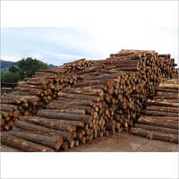 Timber Wood