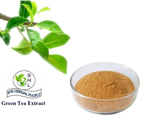 Tonic & Syrup Green Tea Extract