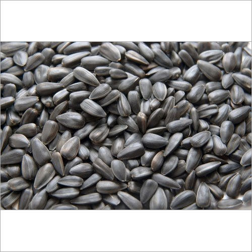 Black Sunflower Seed