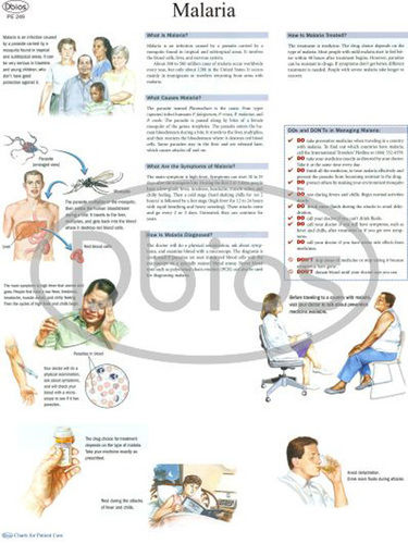 Hospitals Charts