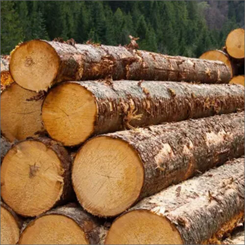 Timber Log