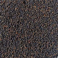 Kerala Black Pepper