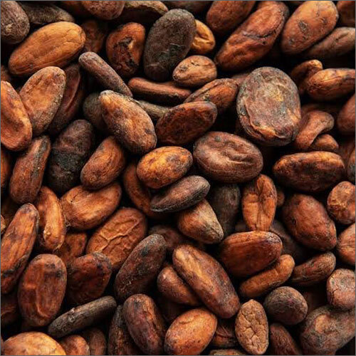 Cocoa Beans By ROSE MARIA SPICES