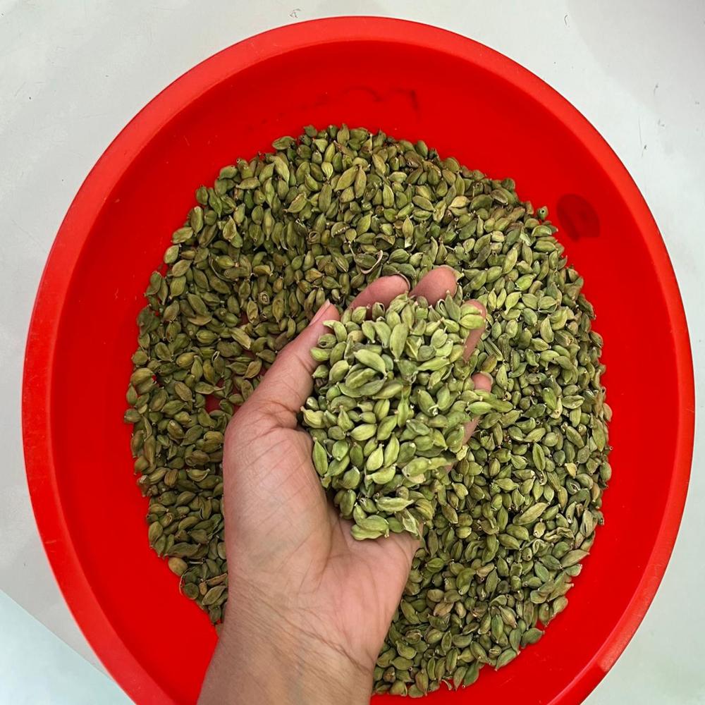 5  mm Green Cardamom