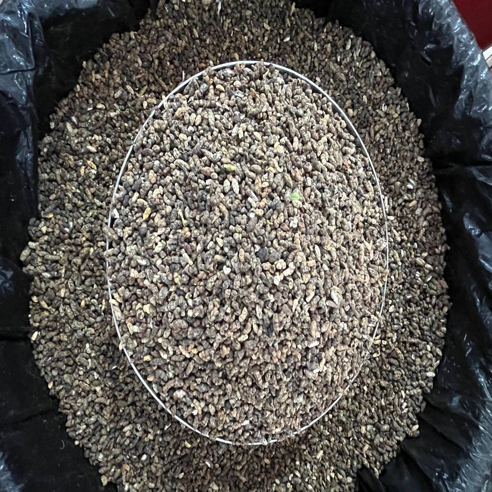 Seed Cluster Cardamom