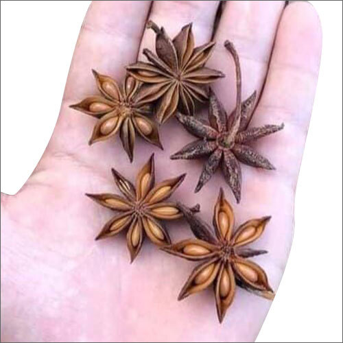 Star Anise By ROSE MARIA SPICES