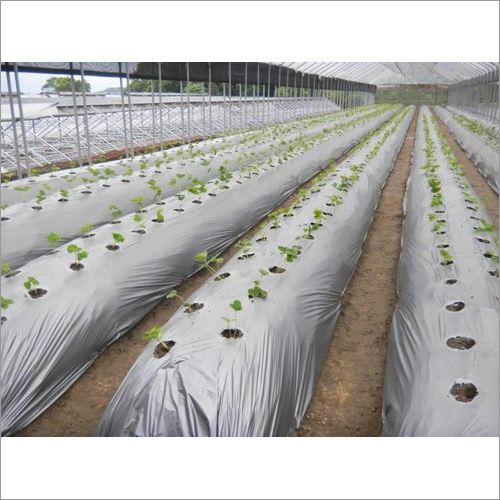 Mulching Film