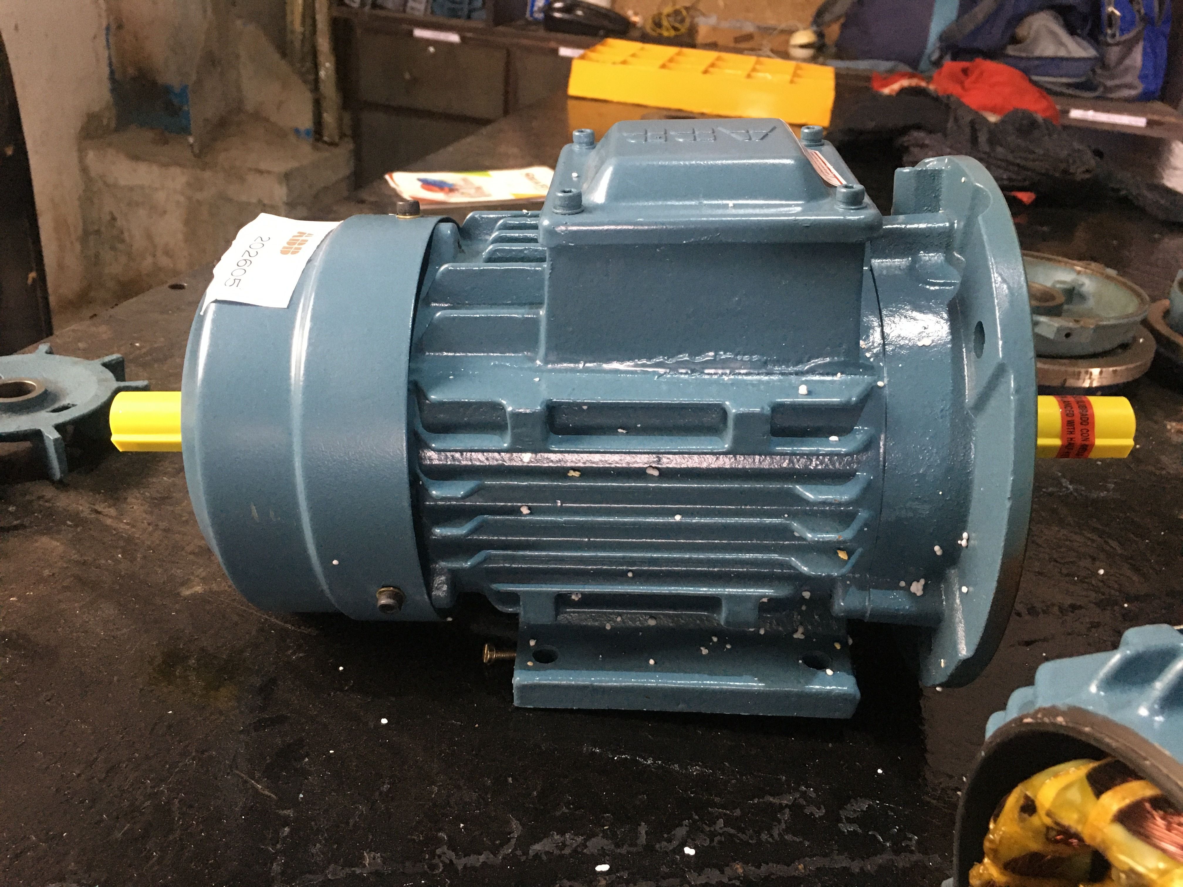 Standard Crane Duty Motor