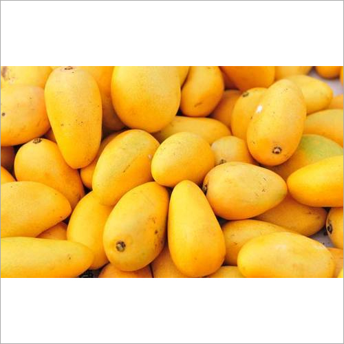 Common Fresh Yellow Mango