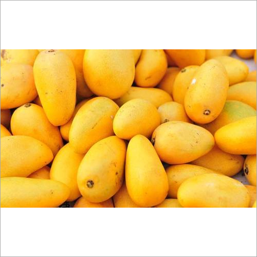 Fresh Yellow Mango