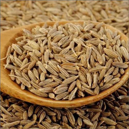 Cumin Seeds