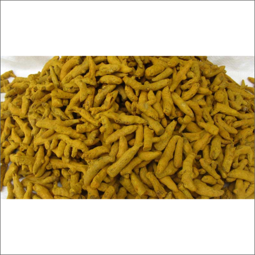 Turmeric Finger