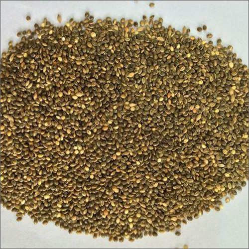 Green Millet Grains