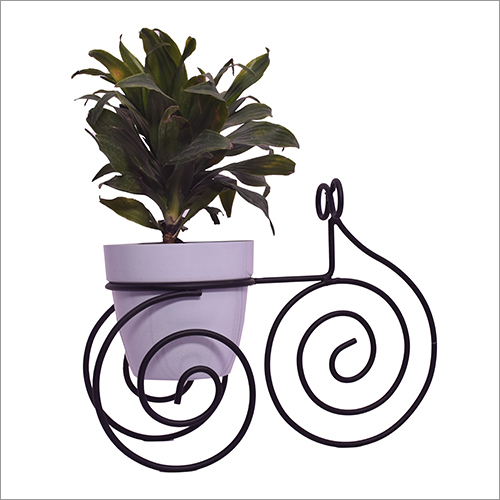 White And Black Rounded Sweet Rickshaw Planter