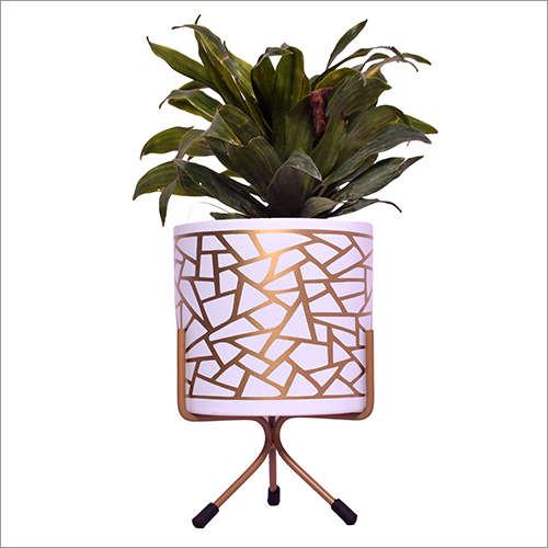 Iron Tabletop Planter