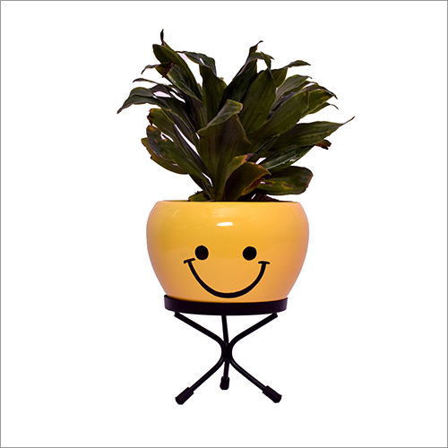 MS Apple Tabletop Emoji Planter