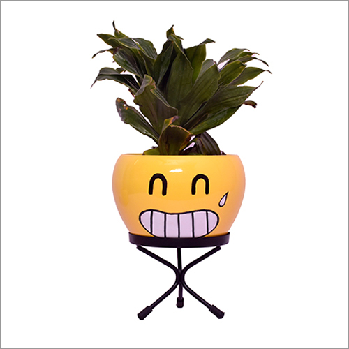 Indoor Apple Tabletop Emoji Planter