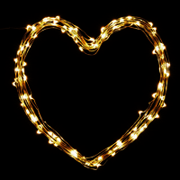 5 mtr Copper String USB Operated Portable Decorative Fairy Light - Warm White