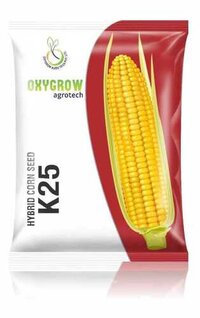 Hybrid corn seed