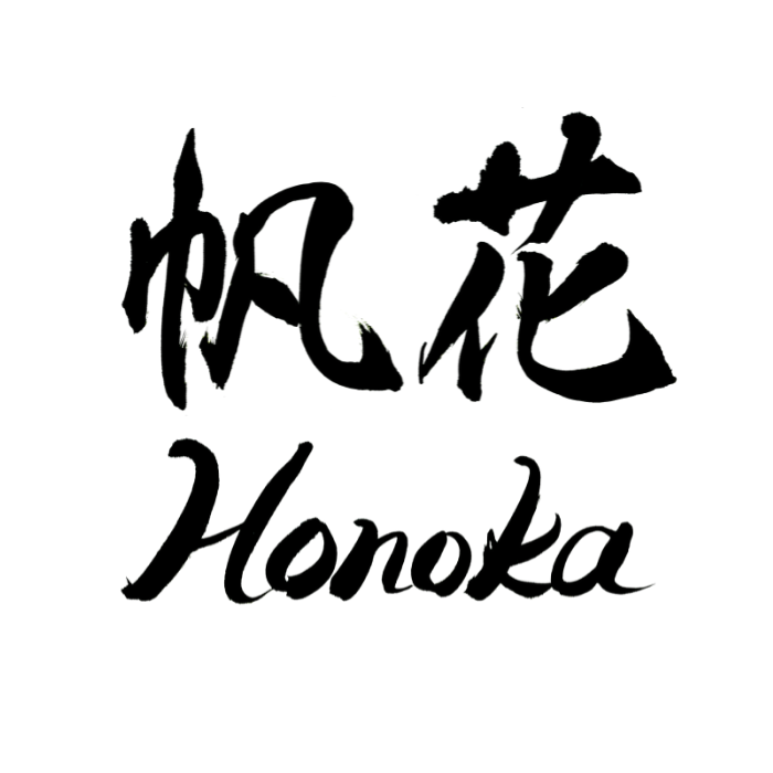 Ladies Silk Bra Honoka