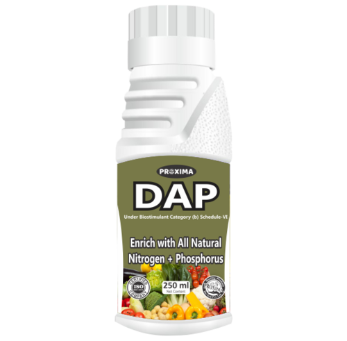 PROXIMA DAP liquid