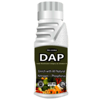 PROXIMA DAP