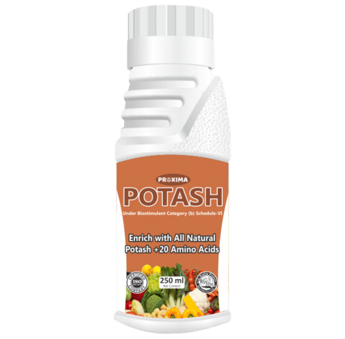 PROXIMA POTASH