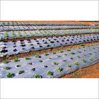 High Quality Mulch Film