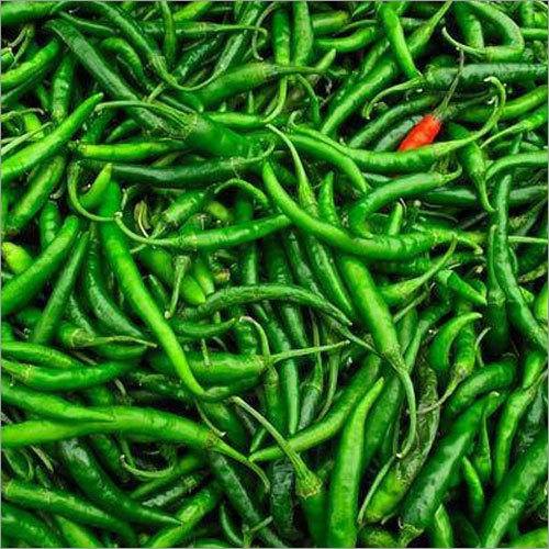 Natural Indian Green Chilli