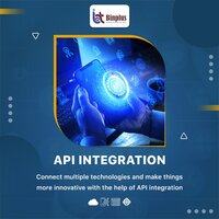Online API Development Services