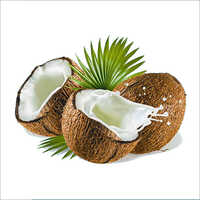 नारियल का दूध