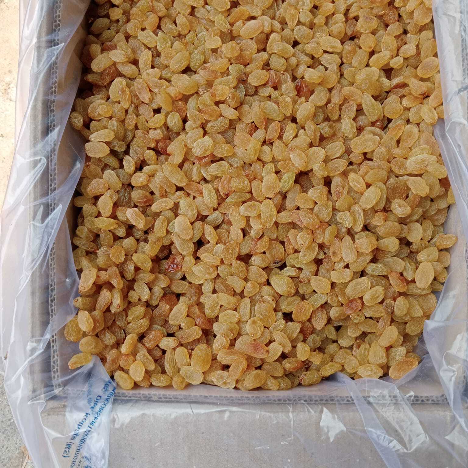 Fresh Raisins