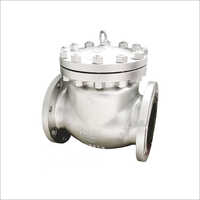 Swing Check Valve