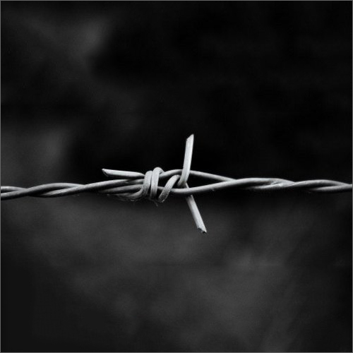 GI Barbed Fencing Wire - Galvanized Iron, Wire Gauge 12-14 | Ideal for Inexpensive Wall-Top Fences, Durable and High-Quality Design