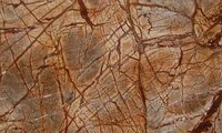 Rainforest Brown Marble