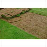Natural Lawn Grass Mats